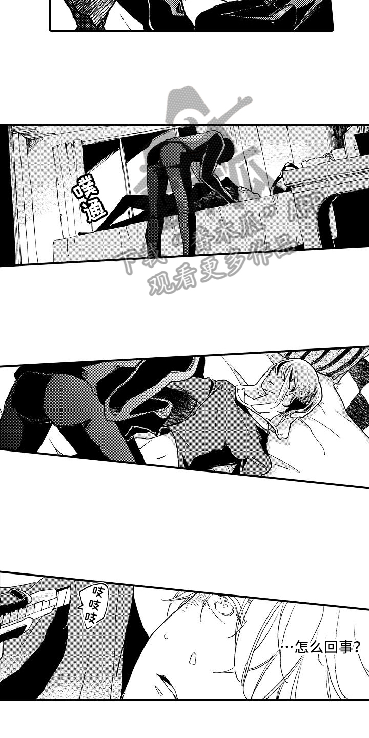 《逃避袭击》第5章袭击 第9页