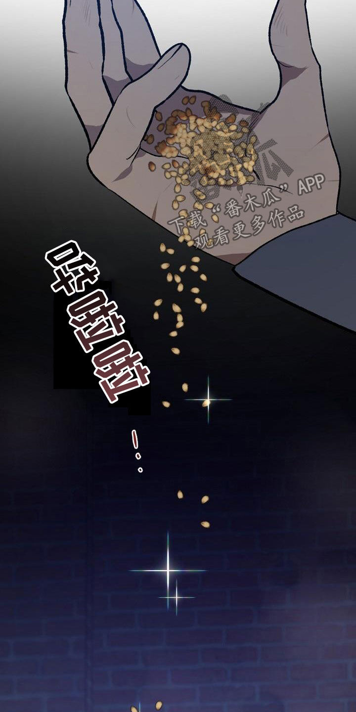 《夜吻正传》第24章种子 第25页