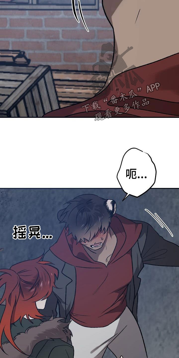 《夜吻正传》第24章种子 第3页