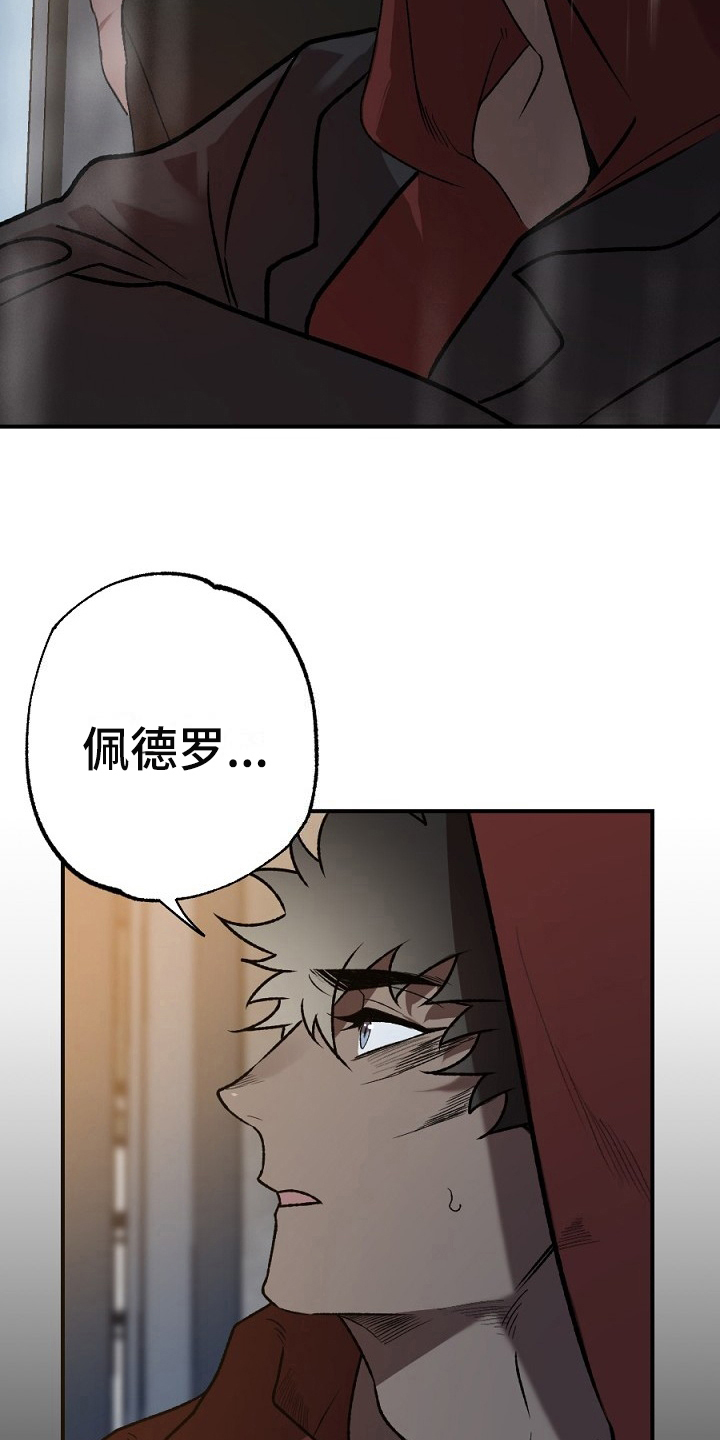 《夜吻正传》第19章失败 第13页