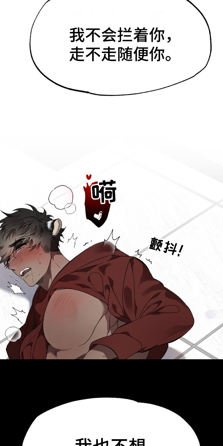 《夜吻正传》第19章失败 第5页