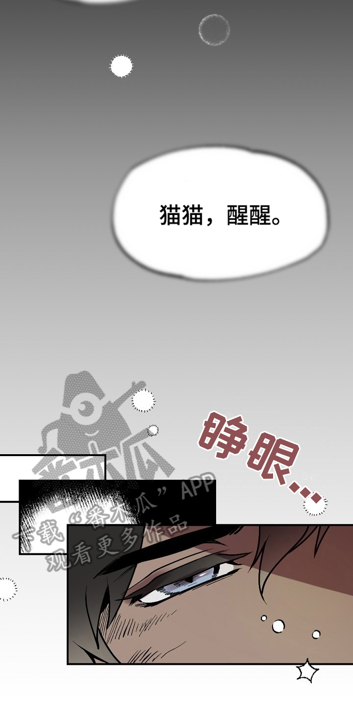 《夜吻正传》第15章梦想 第12页