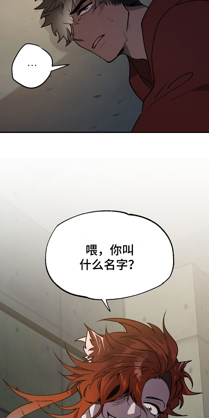 《夜吻正传》第12章有意思 第9页