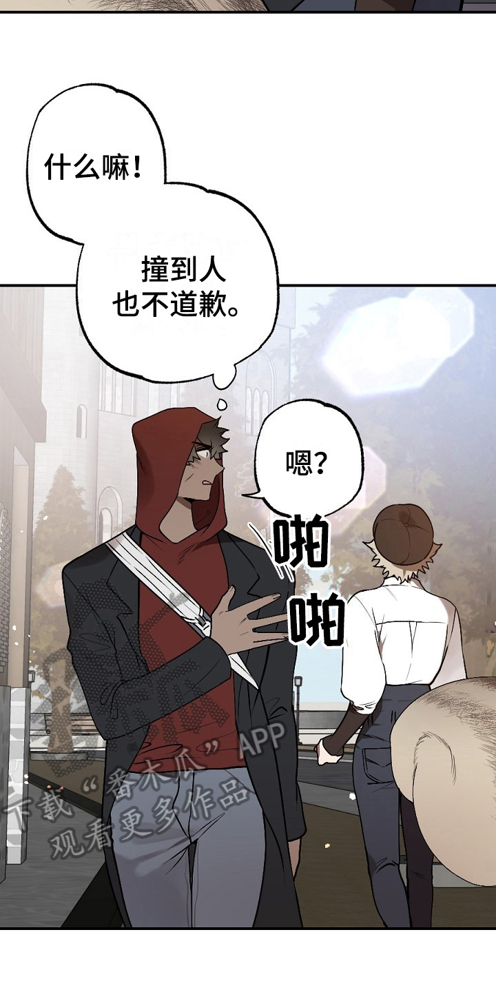 《夜吻正传》第10章小偷 第10页
