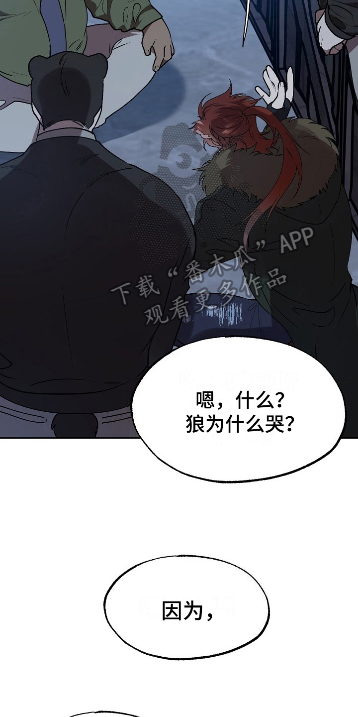 《夜吻正传》第8章危险的狼 第7页