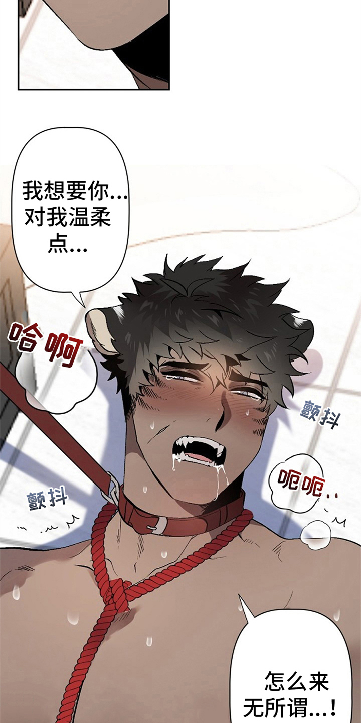 《夜吻正传》第5章问题 第2页