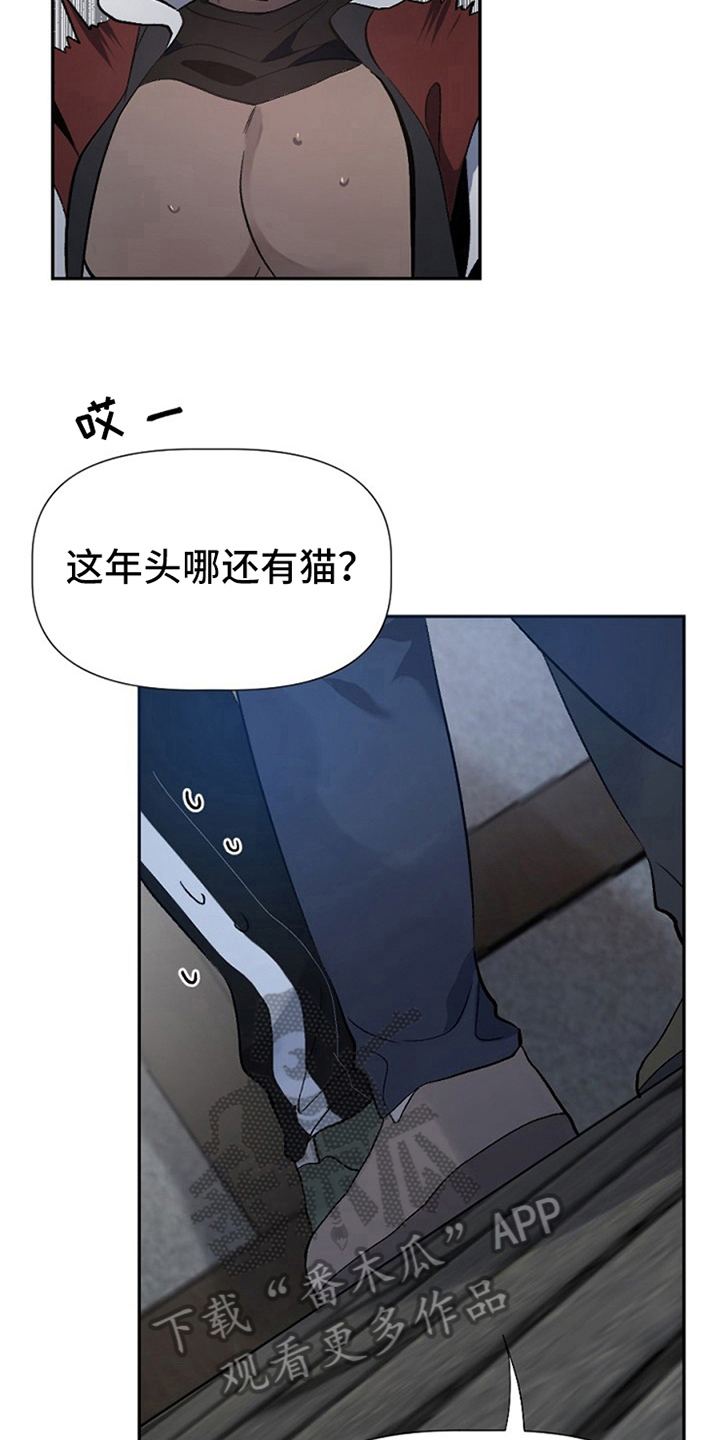 《夜吻正传》第4章救援 第9页