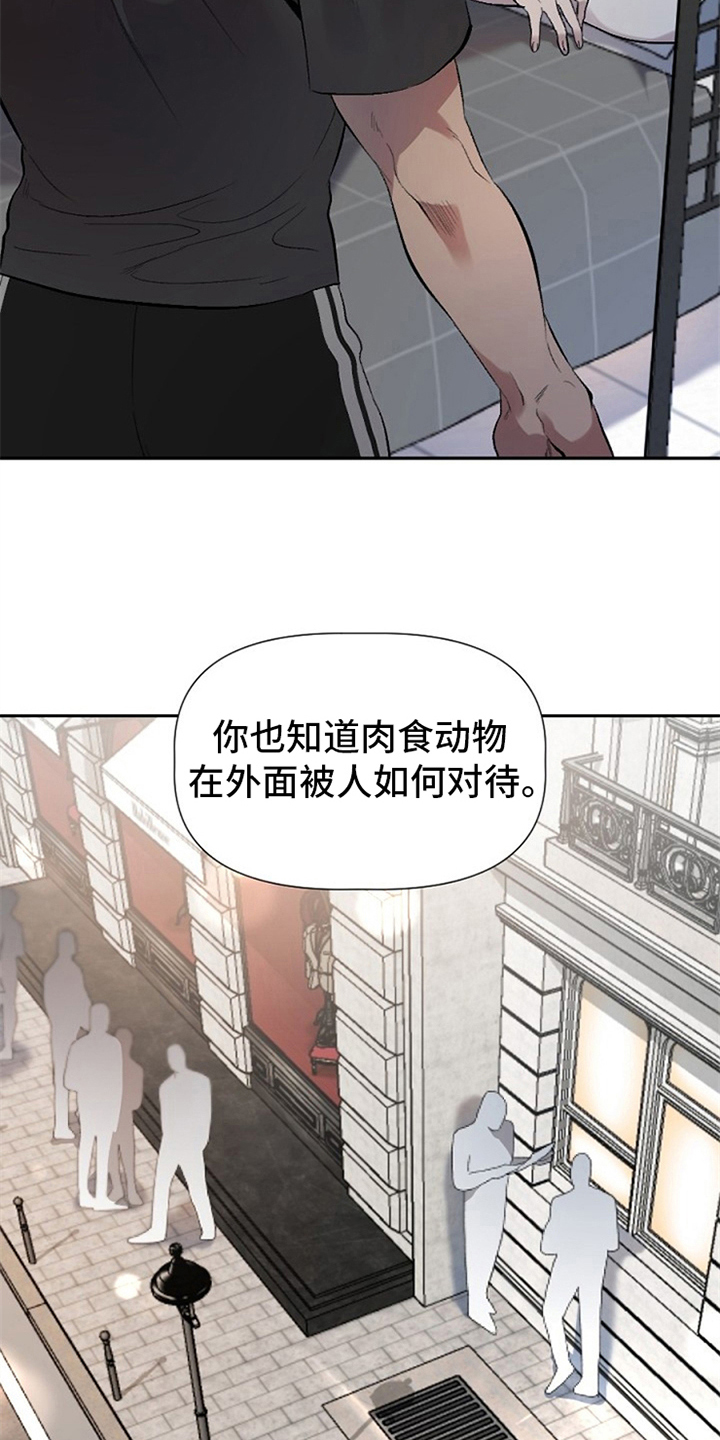 《夜吻正传》第2章收留 第14页