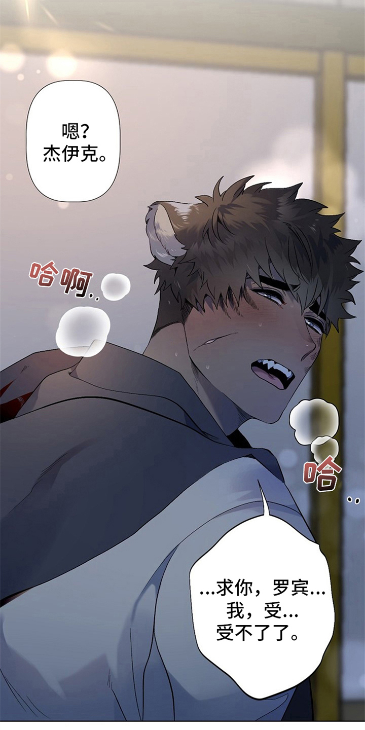 《夜吻正传》第2章收留 第2页