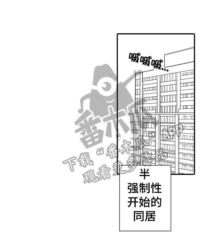 《年上的冒失鬼》第18章在意 第1页