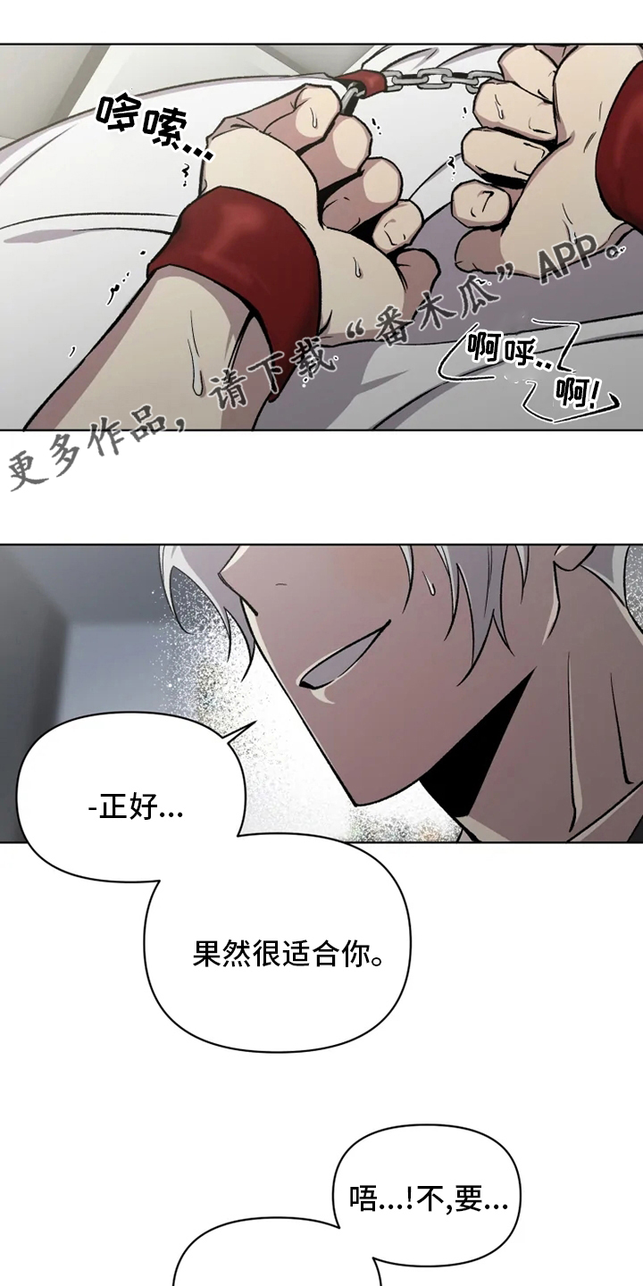 《可疑的信徒》第70章【番外】只要是你 第1页
