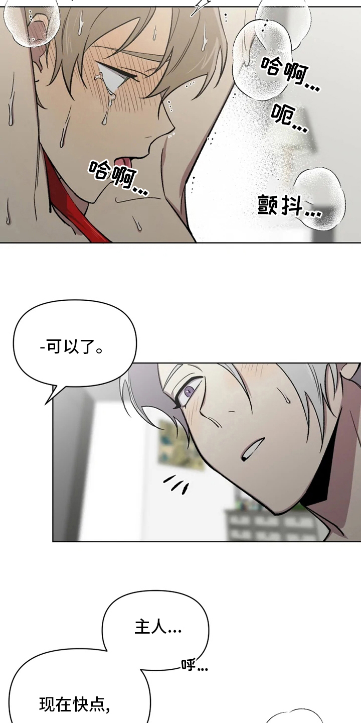 《可疑的信徒》第70章【番外】只要是你 第7页