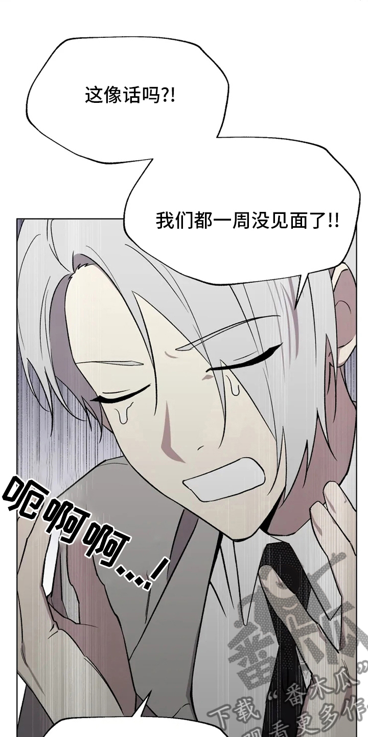 《可疑的信徒》第54章【番外】决心 第13页
