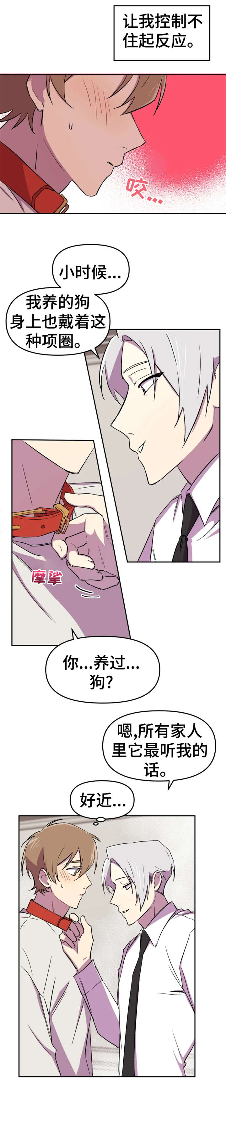 《可疑的信徒》第11章狗狗 第1页