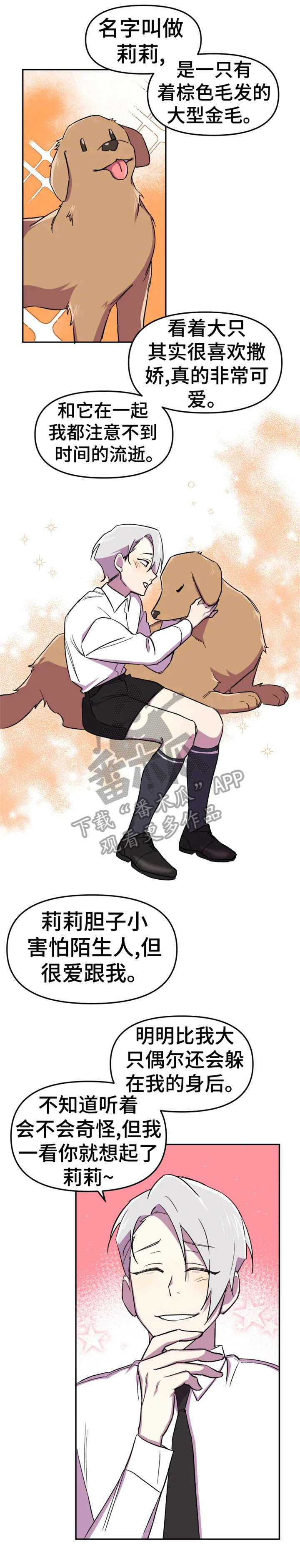 《可疑的信徒》第11章狗狗 第2页