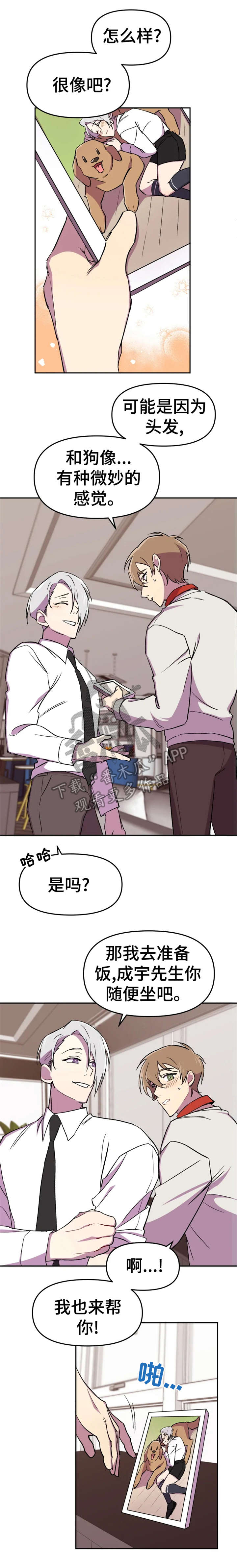 《可疑的信徒》第11章狗狗 第4页