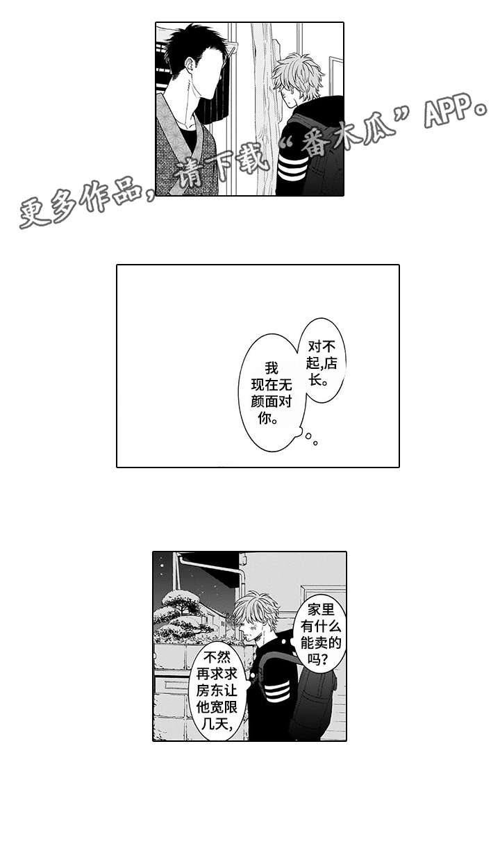 《罪与沉沦》第3章杀了他 第7页