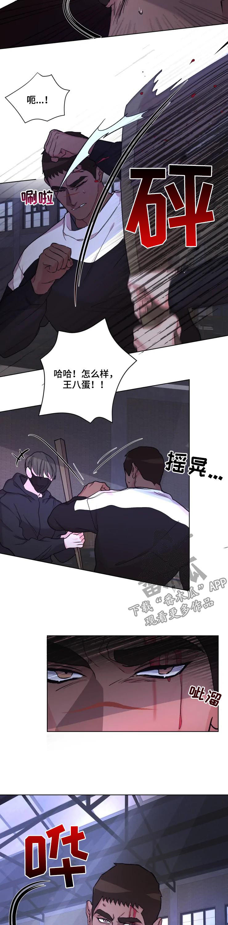 《迷弟保镖》第40章解救 第5页