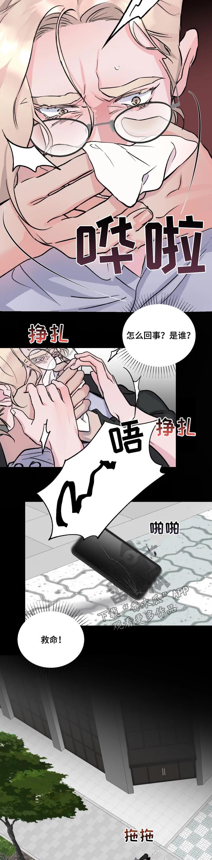 《迷弟保镖》第38章绑架 第11页