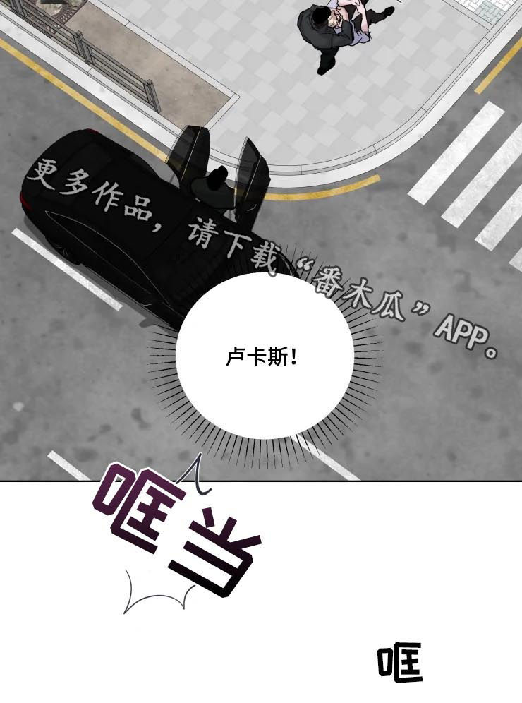 《迷弟保镖》第38章绑架 第12页