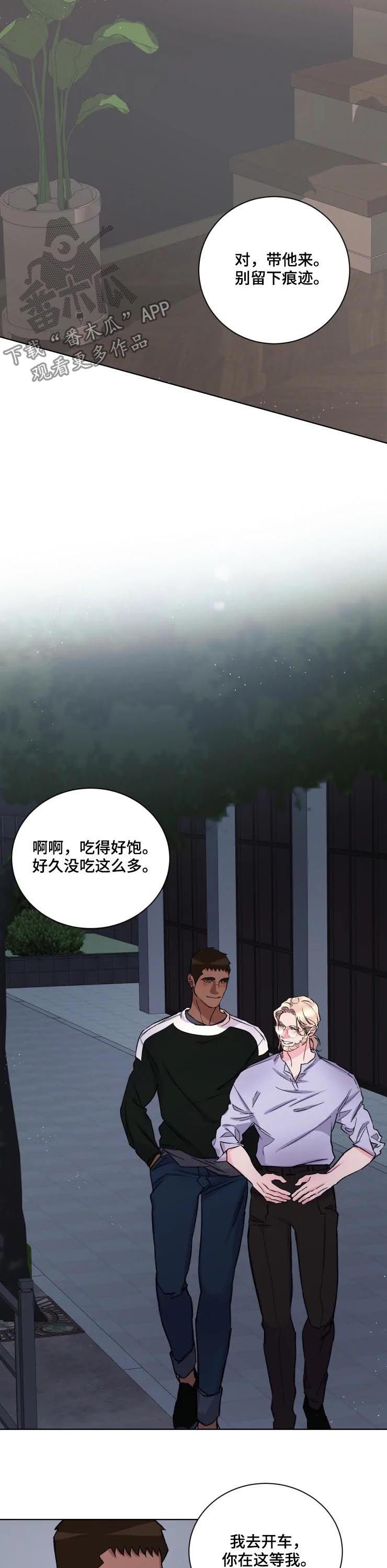 《迷弟保镖》第38章绑架 第6页