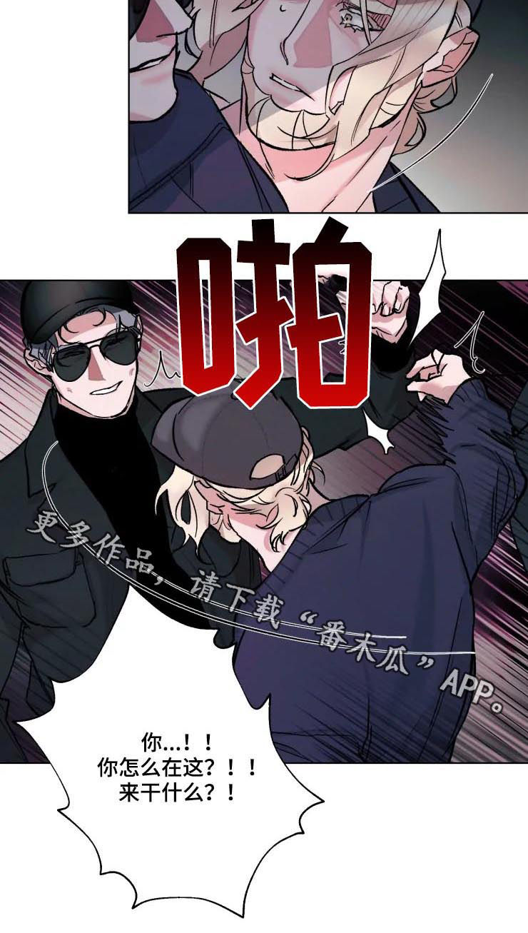 《迷弟保镖》第32章单独见面 第10页