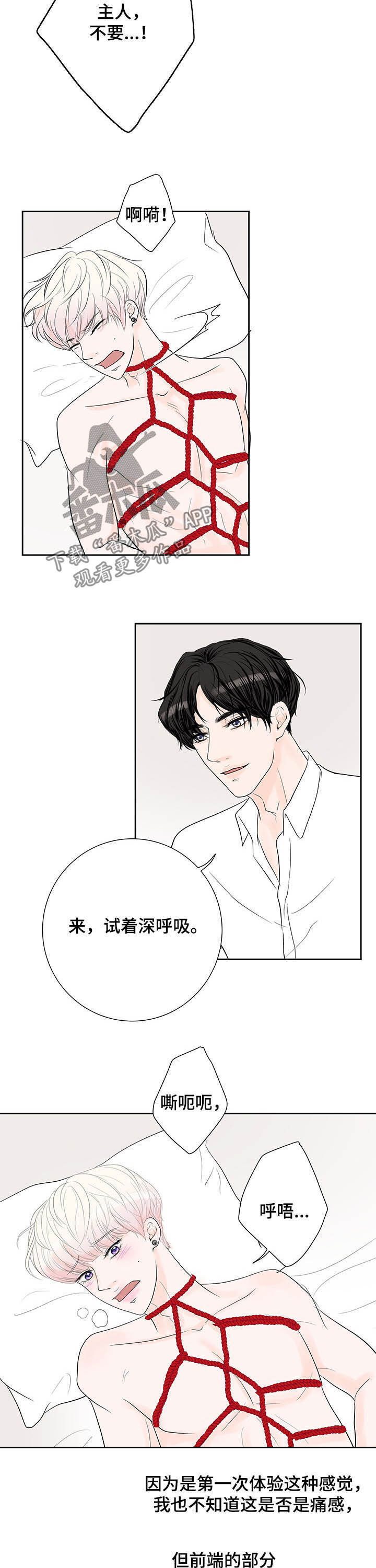 《产品试用员》第66章【番外】我好困 第2页