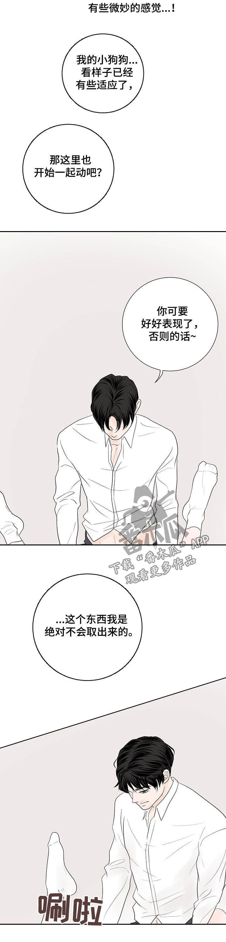 《产品试用员》第66章【番外】我好困 第3页