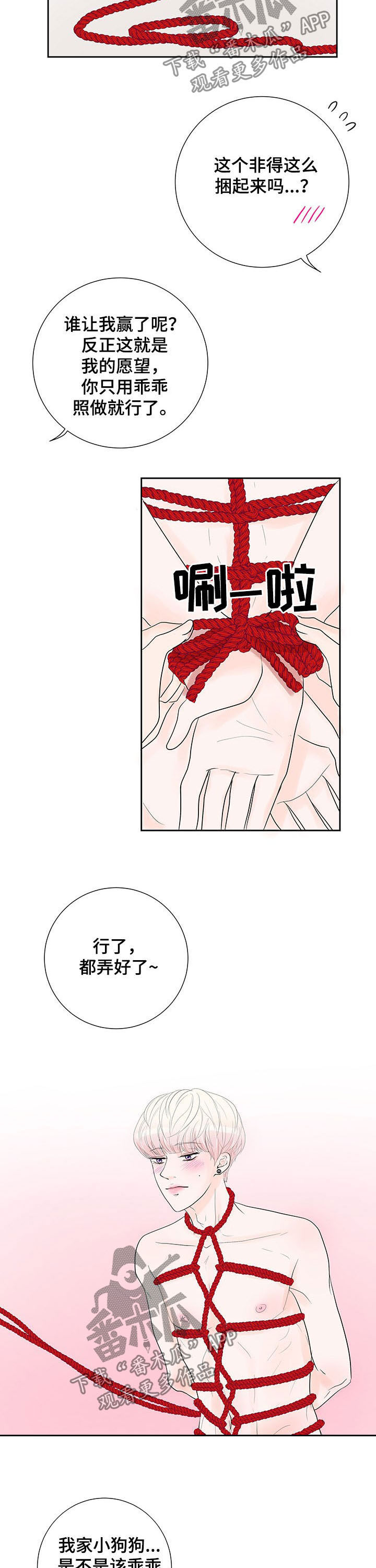 《产品试用员》第64章【番外】愿望 第9页