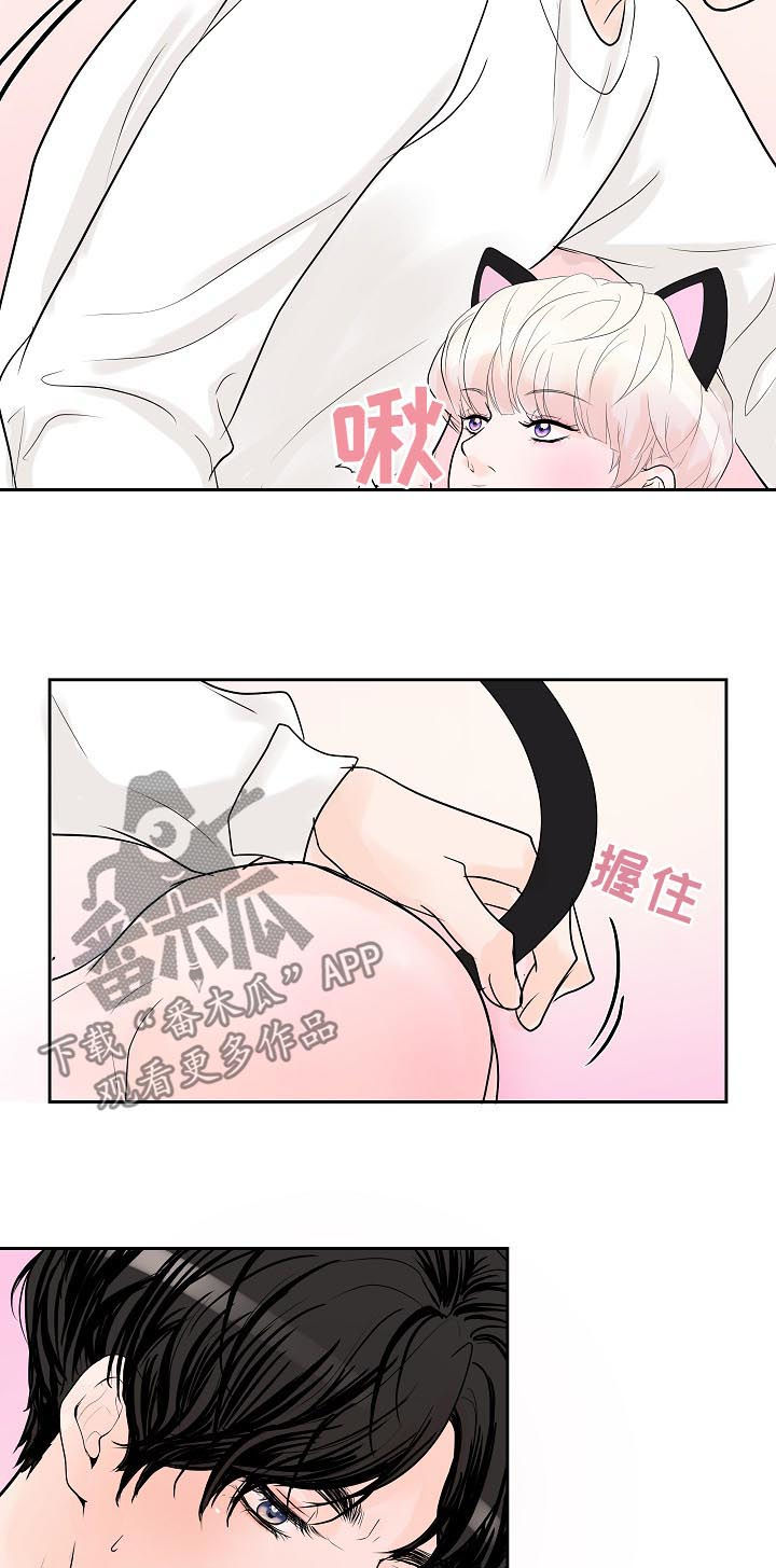 《产品试用员》第39章去开会 第3页