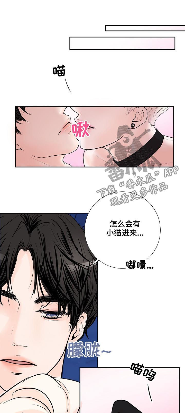 《产品试用员》第38章小猫 第13页