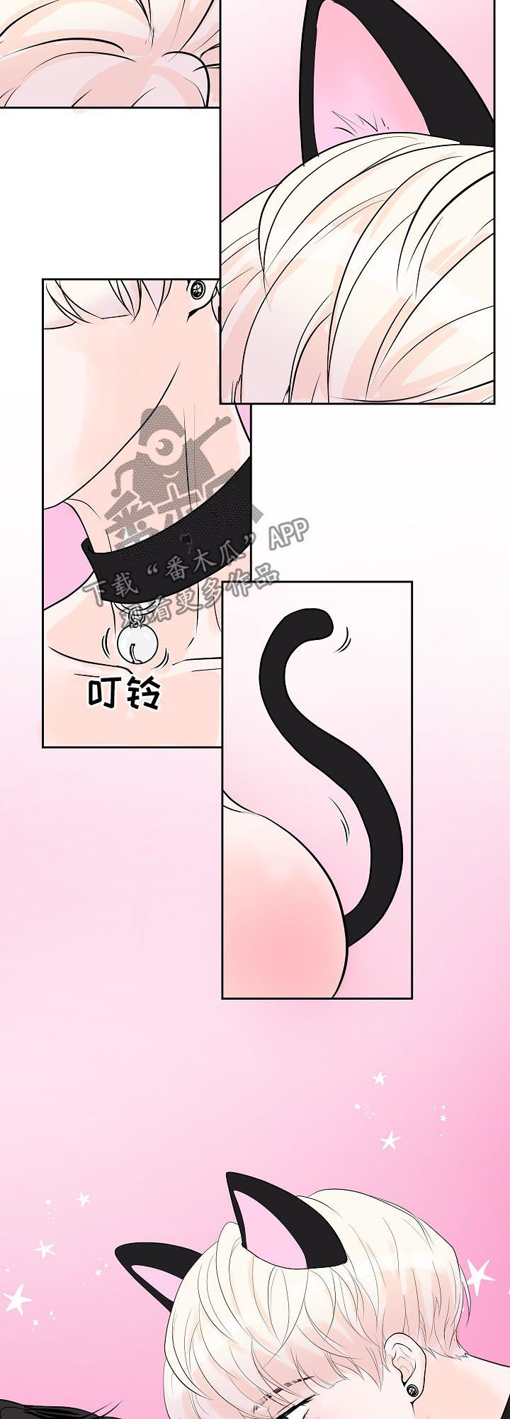 《产品试用员》第38章小猫 第14页