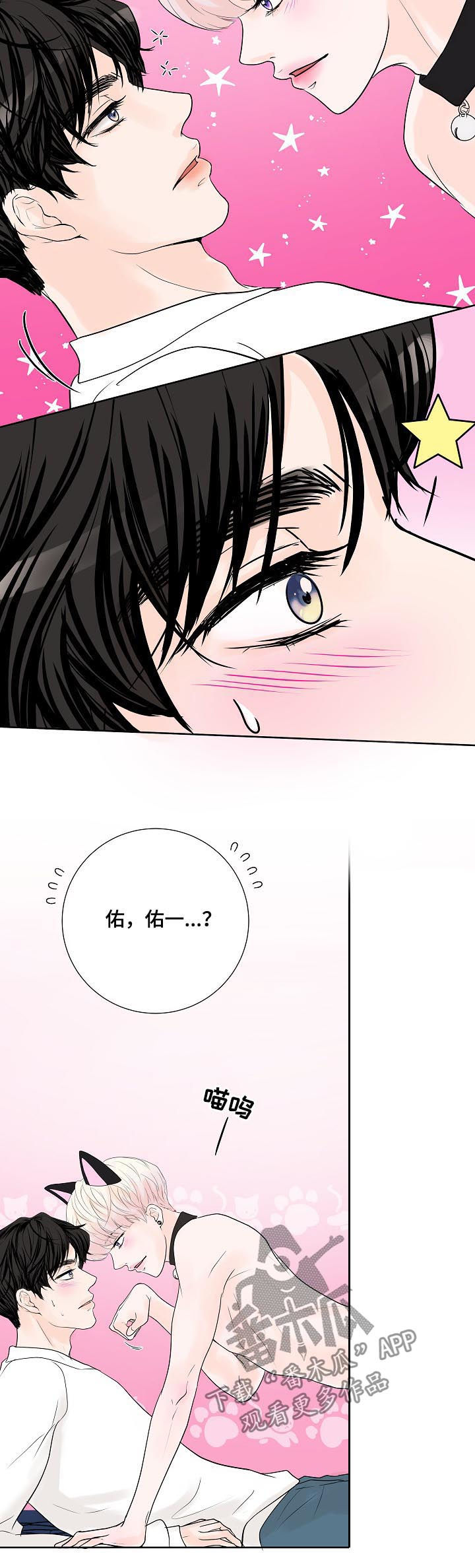 《产品试用员》第38章小猫 第15页