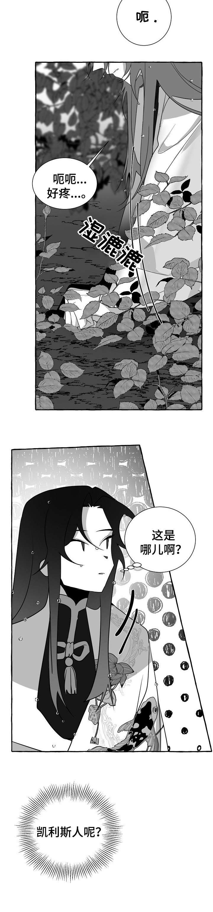 《缔结条约》第15章看看 第9页