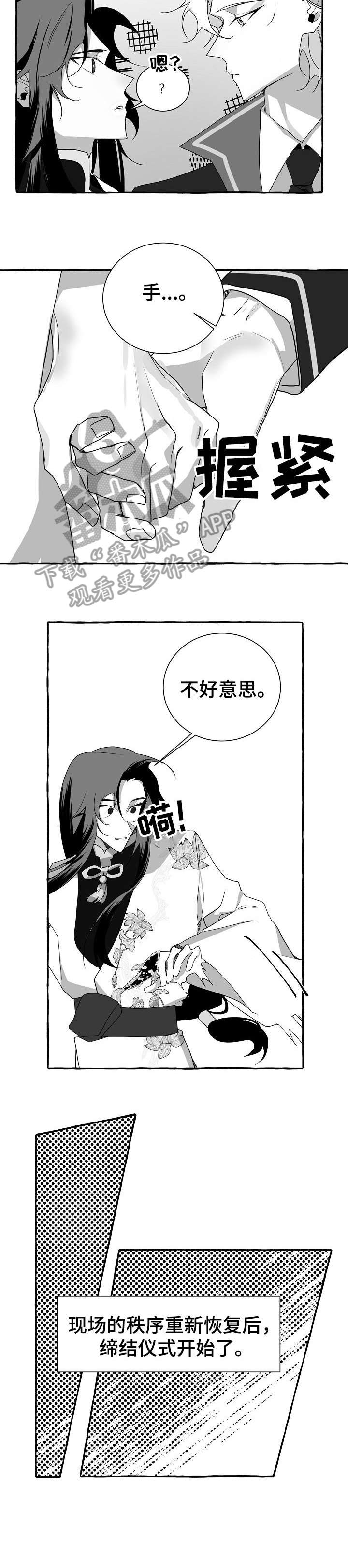 《缔结条约》第11章站住 第3页