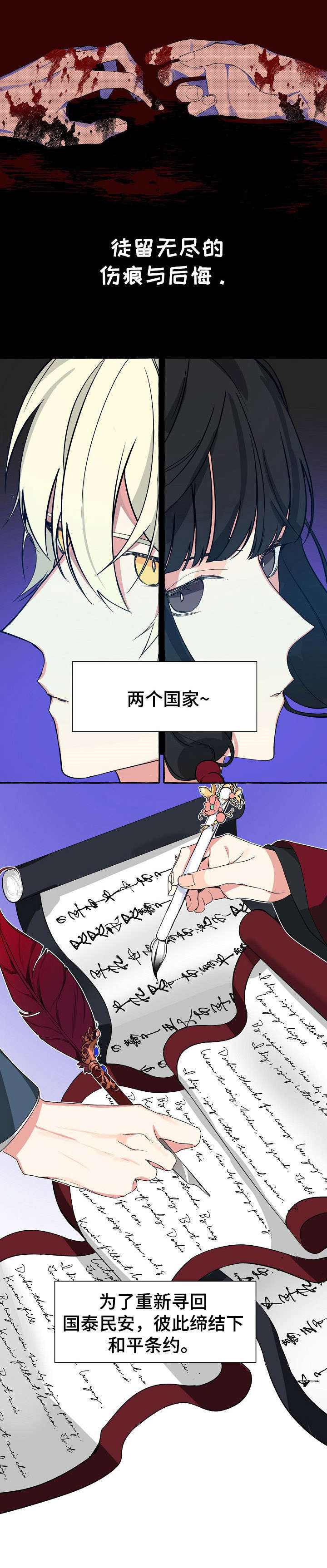 《缔结条约》第1章条约 第3页