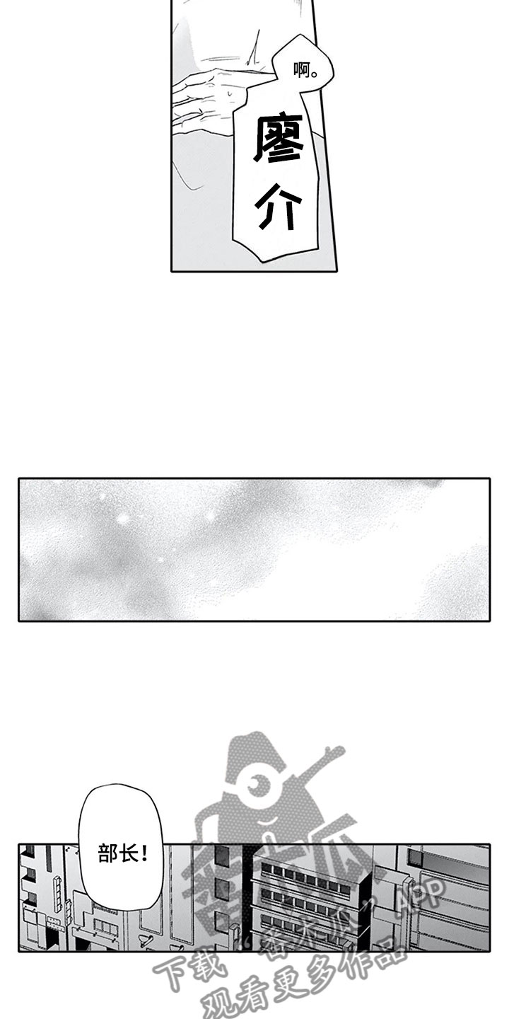 《双胞胎抉择》第26章狂野 第12页