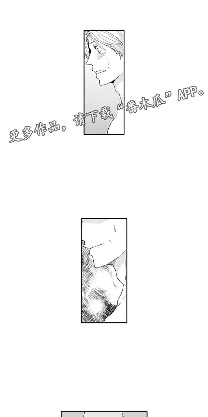 《双胞胎抉择》第26章狂野 第1页