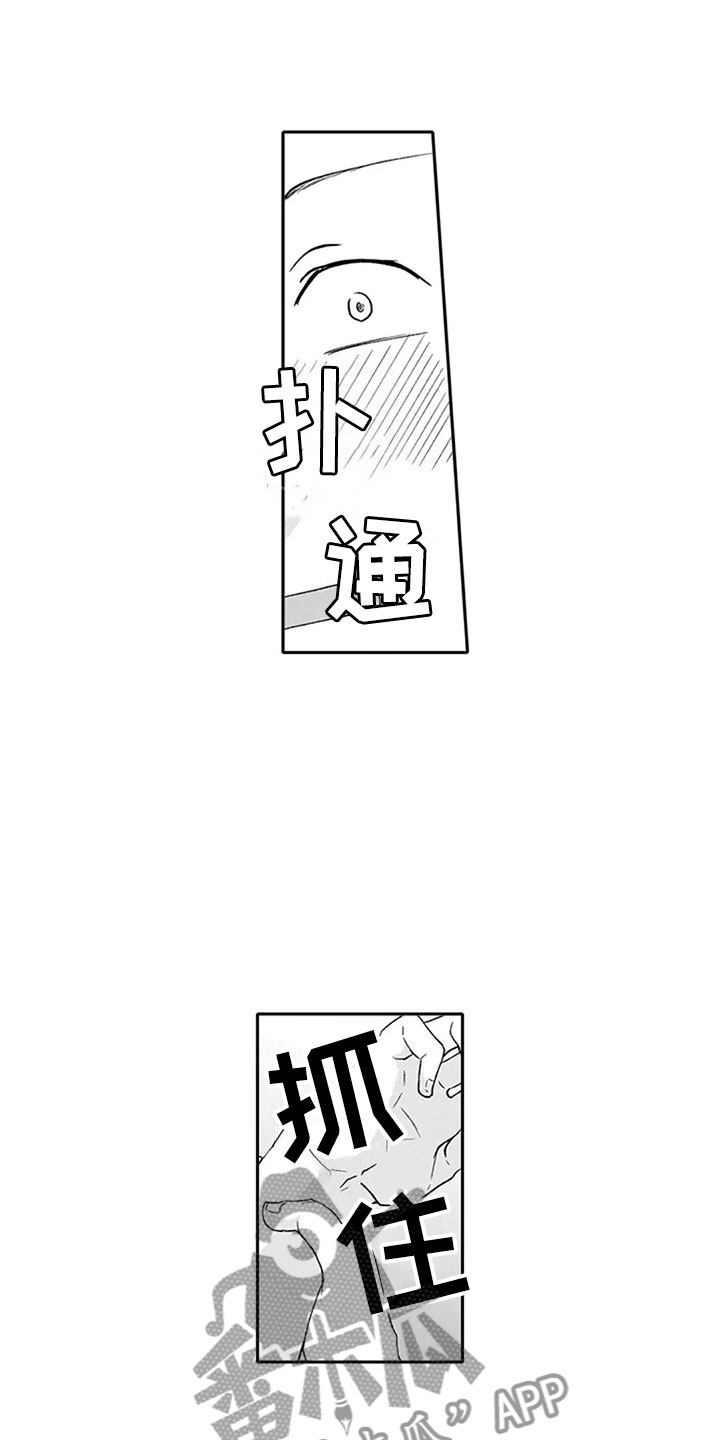 《双胞胎抉择》第26章狂野 第6页