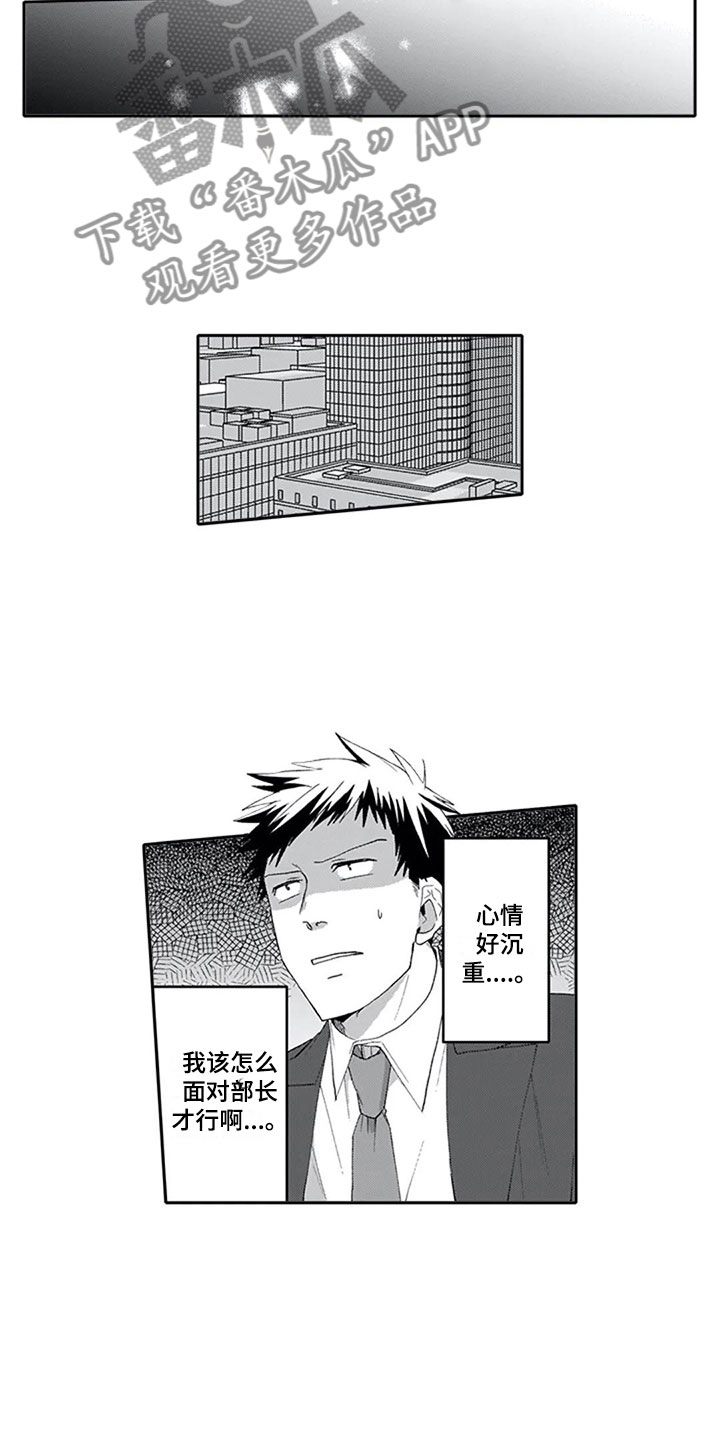 《双胞胎抉择》第18章沉重 第10页