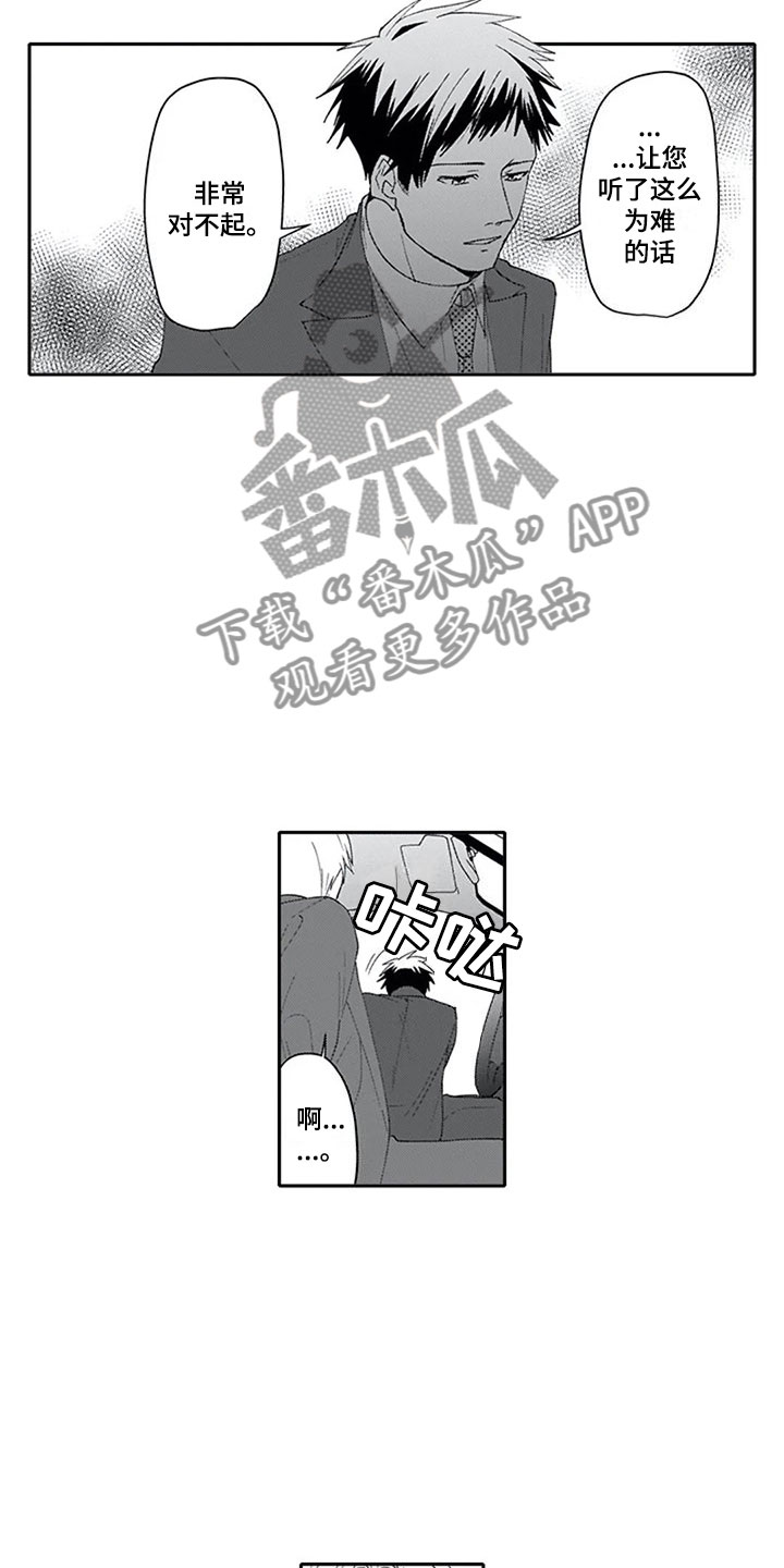 《双胞胎抉择》第16章混淆 第12页