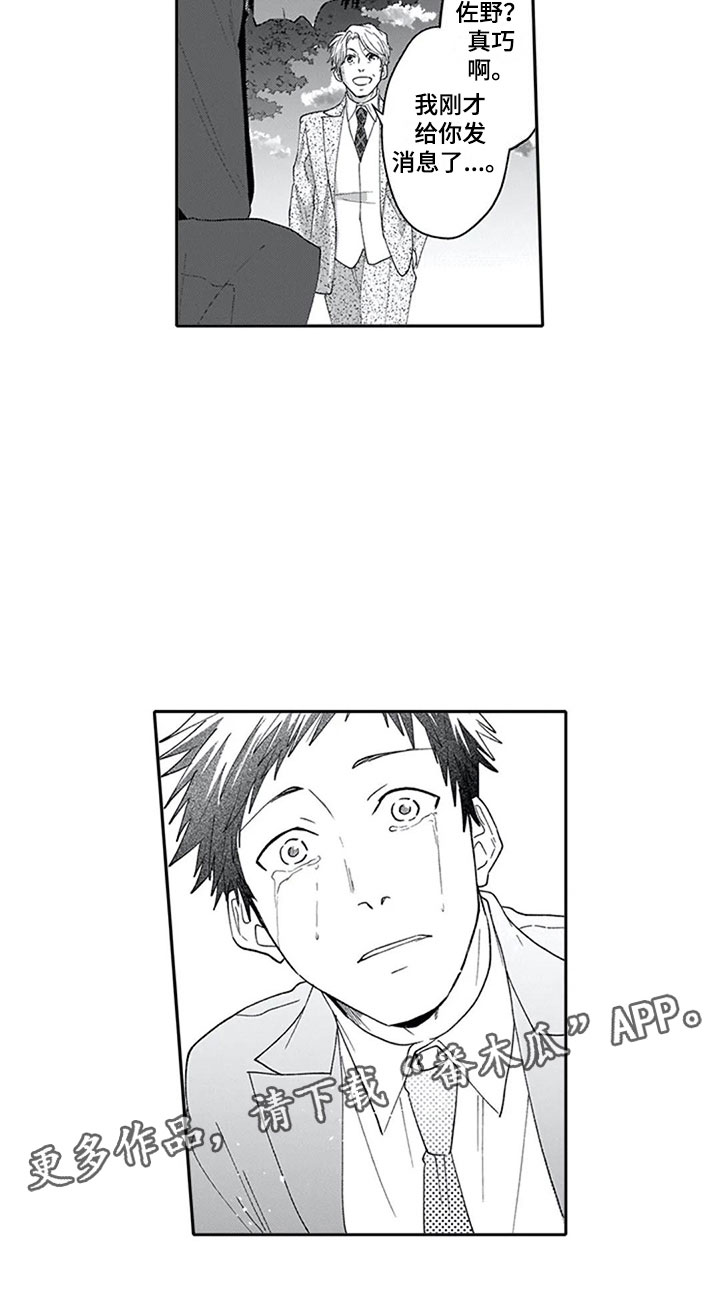 《双胞胎抉择》第16章混淆 第17页