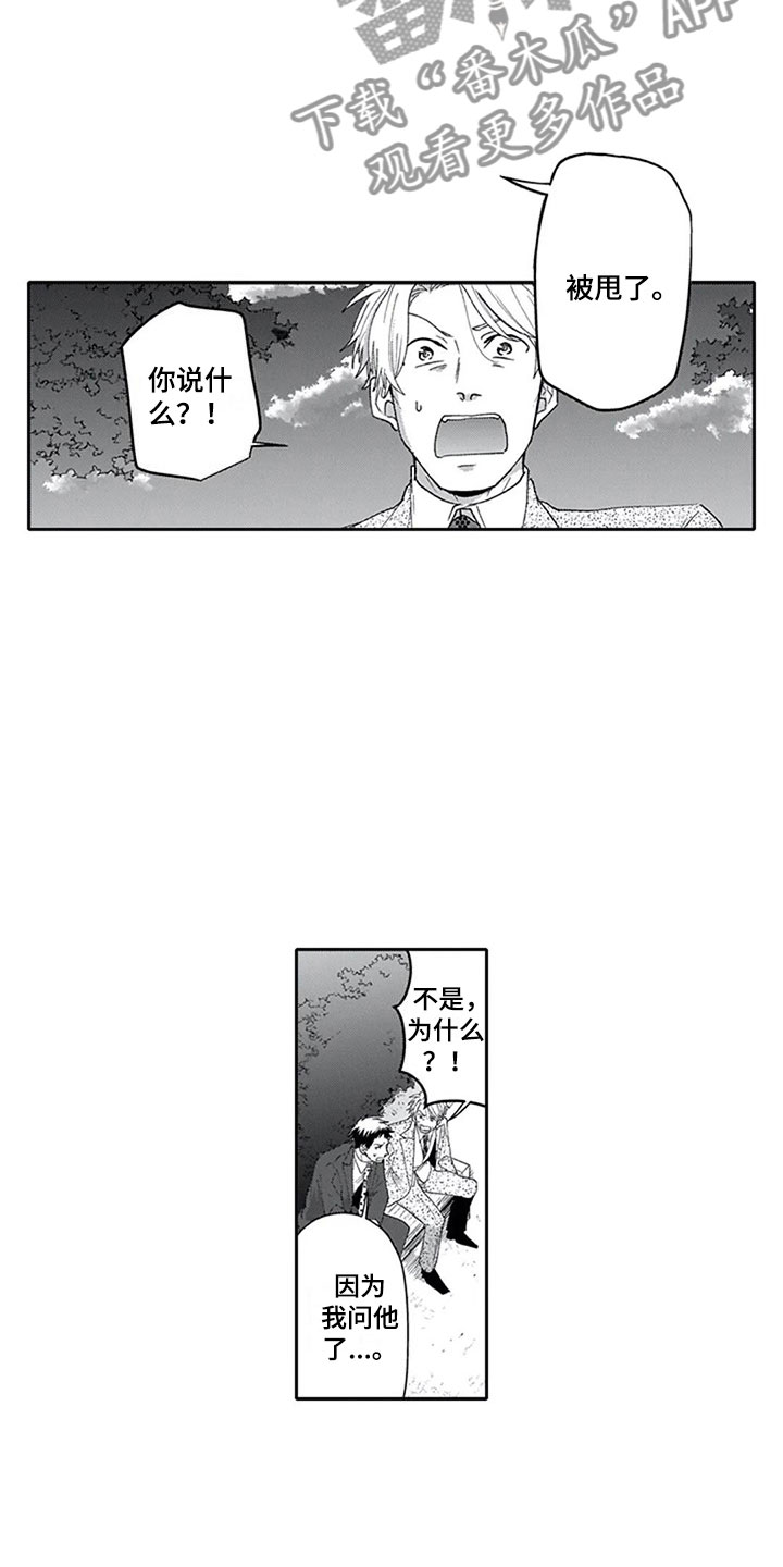 《双胞胎抉择》第17章突击 第2页