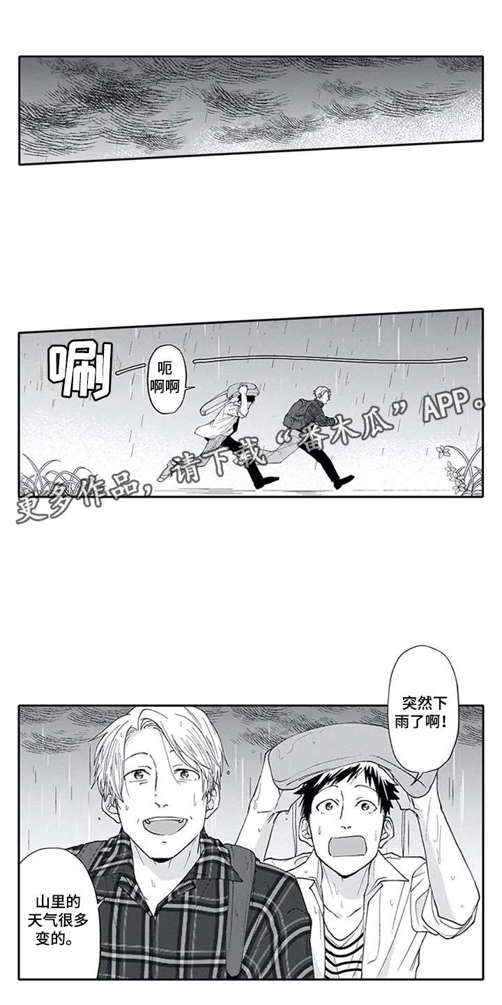 《双胞胎抉择》第8章想法 第1页
