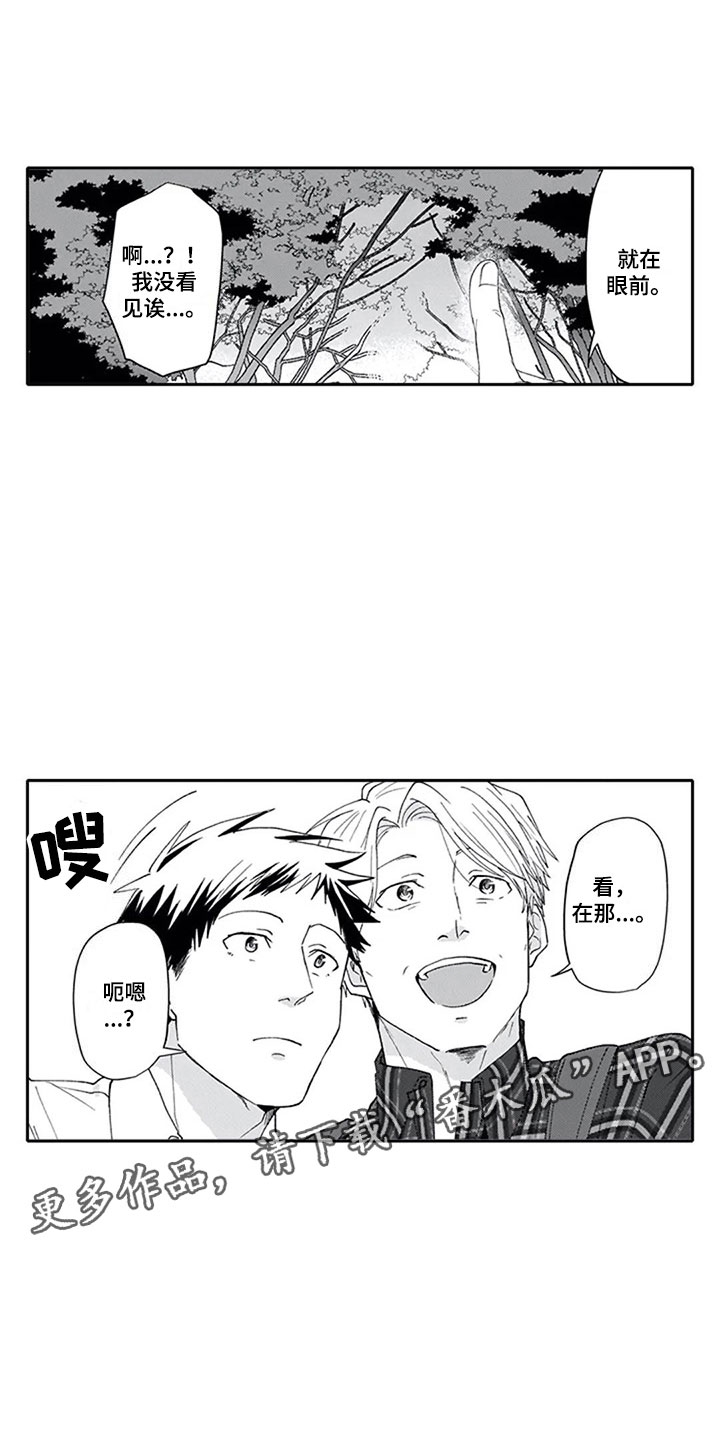 《双胞胎抉择》第7章观察 第2页