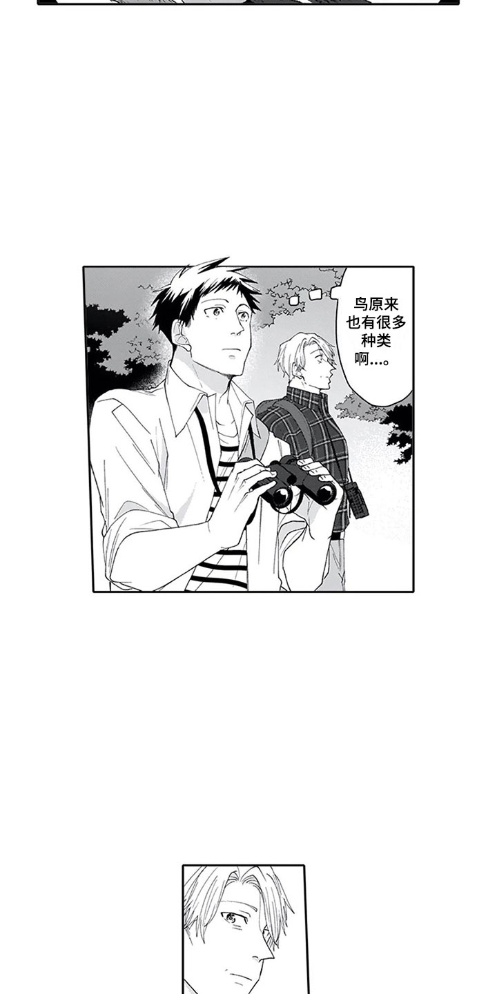 《双胞胎抉择》第7章观察 第6页