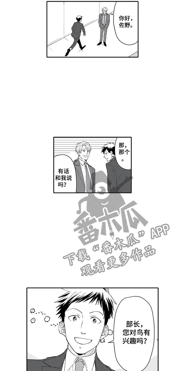 《双胞胎抉择》第5章兴趣 第14页