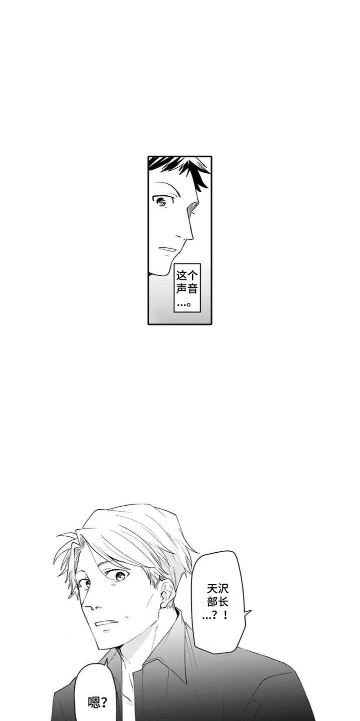《双胞胎抉择》第2章单恋 第17页
