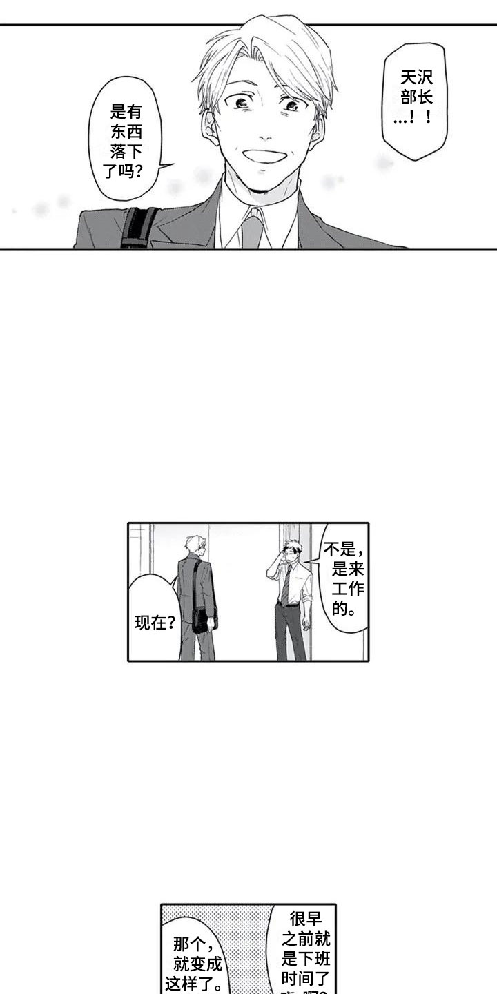 《双胞胎抉择》第1章喜好 第11页