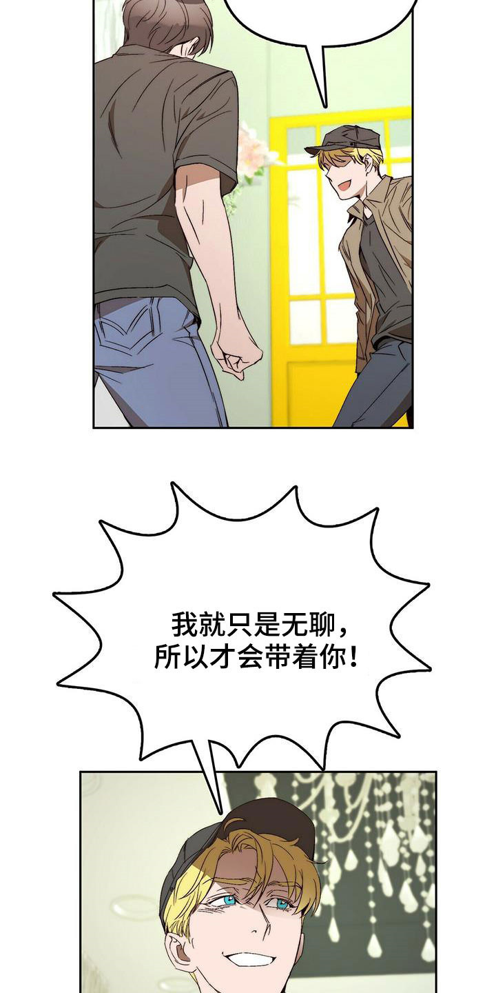 《钻石神偷》第45章真的结束了（完结） 第16页